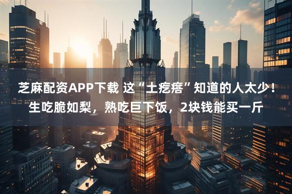 芝麻配资APP下载 这“土疙瘩”知道的人太少！生吃脆如梨，熟吃巨下饭，2块钱能买一斤