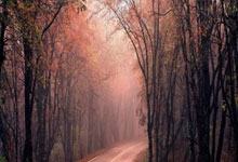 股票短线配资:网上股票开户怎么开-英伟达否认H100/H200芯片短缺传闻